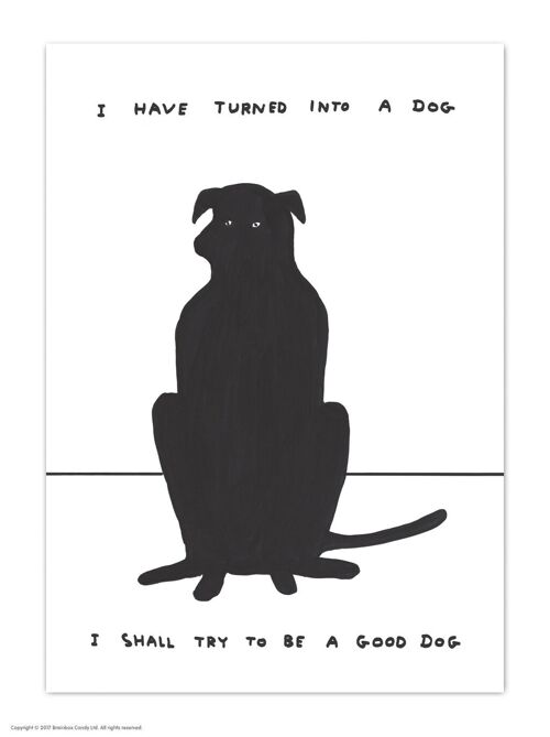 A6 Art Postcard By David Shrigley - Turned Into A Dog