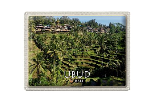 Blechschild Reise 40x30cm Ubud Bali Tegalalang Reisterrassen