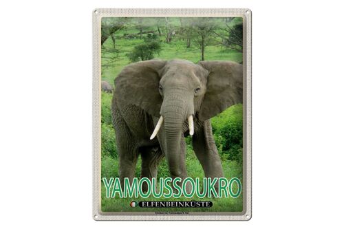 Blechschild Reise 30x40cm Yamoussoukro Elfenbeinküste Nationalpark