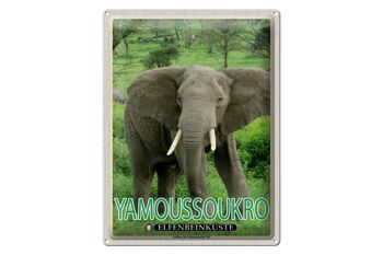 Plaque en tôle voyage 30x40cm Parc National de Yamoussoukro Côte d'Ivoire 1