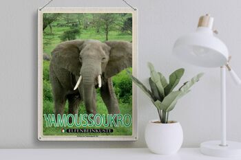 Plaque en tôle voyage 30x40cm Parc National de Yamoussoukro Côte d'Ivoire 3