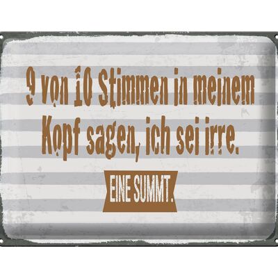 Blechschild Spruch 40x30cm 9 von 10 Stimmen in meinem Kopf