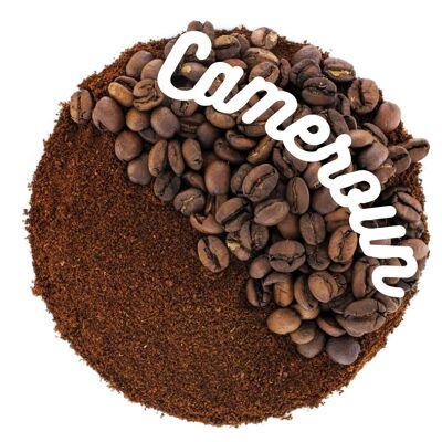 Kameruner Kaffee aus den Hauts Plateaux – BULK