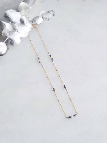 Collier Navy 1