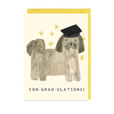 CON-GRAD-ULAZIONI - BUSTA GIALLA Card