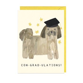 CON-GRAD-ULATIONS - Carte ENVELOPPE JAUNE 1