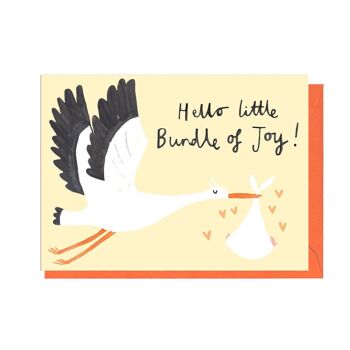 Carte BONJOUR BUNDLE OF JOY - ENVELOPPE ORANGE 1