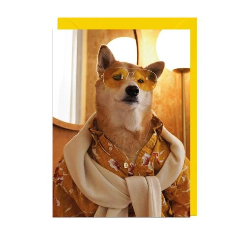 MENSWEAR DOG AVIATOR SHADES YELLOW ENVELOPE Card