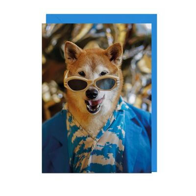 MENSWEAR DOG BLUE JACKET CORNFLOWER ENVELOPE Card