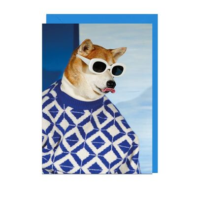 Carte POUR HOMMES CHIEN BLEU PULL BLEUET ENVELOPPE