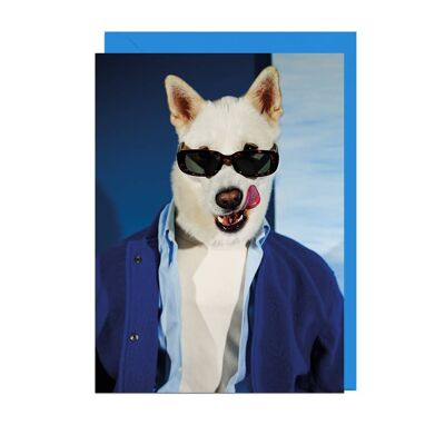 MENSWEAR DOG BLUE SPORTS JACKET CORNFLOWER ENVELOPE Card