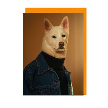 Carte VESTE EN DENIM POUR CHIEN HOMME COL ROULÉ ENVELOPPE ORANGE 2