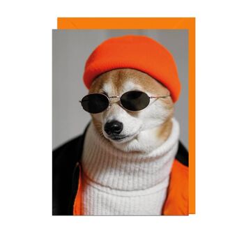 Carte POUR HOMMES CHIEN ORANGE BEANIE ORANGE ENVELOPPE 1