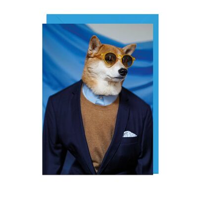 Tarjeta MENSWEAR DOG SMART JACKET SOBRE AZUL CIELO