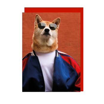 Carte VESTE DE SPORT POUR CHIEN VÊTEMENTS POUR HOMMES ENVELOPPE POPPY 2