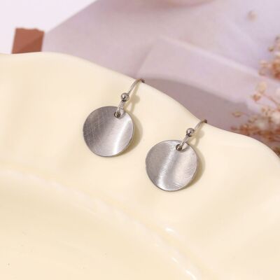Silver brushed silver earrings
