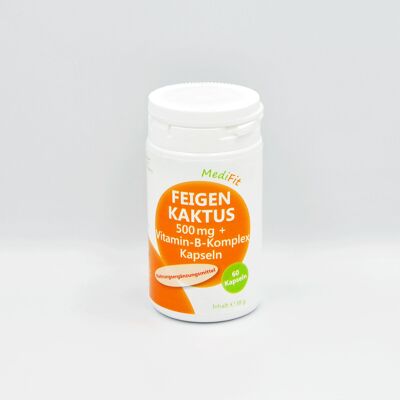 Figue de Barbarie 500 mg + Complexe de Vitamines B