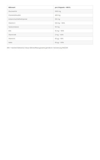 Acide hyaluronique + glucosamine + chondroïtine 2