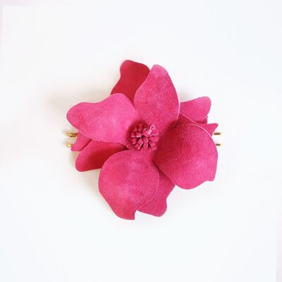 Il fiore di Framboise Camia