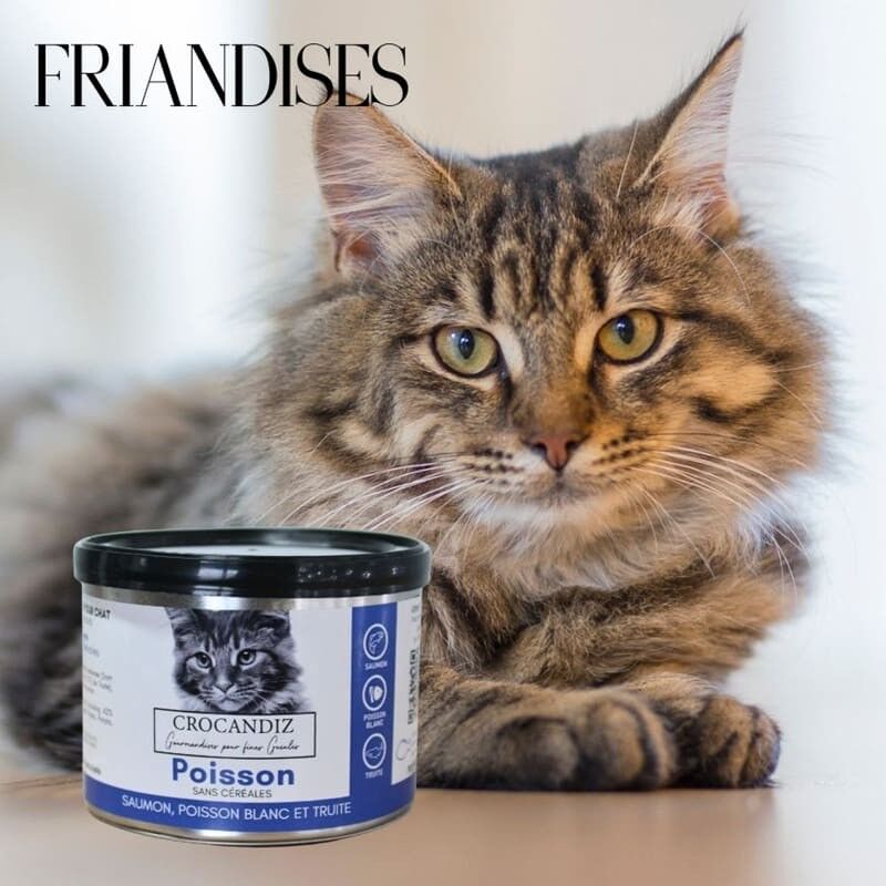 Friandises pour chat -Recette 3 poissons