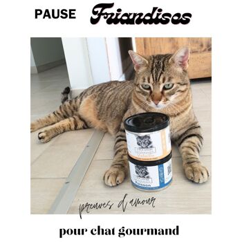 Friandises pour chat 3 volailles 5