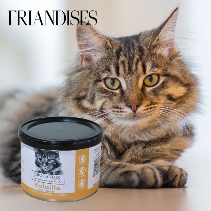 Friandises pour chat - Recette 3 volailles