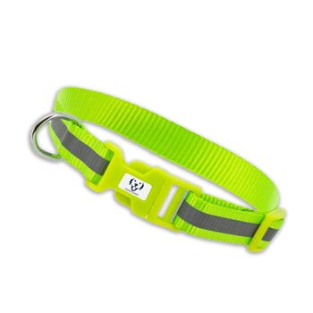 Collier réfléchissant pour chien 4