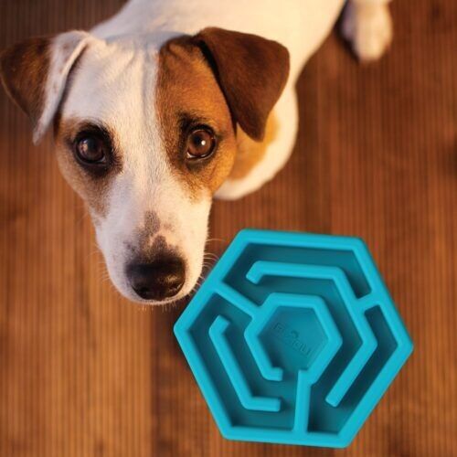 Hexa Bowl - ciotola anti-imbracatura per cani