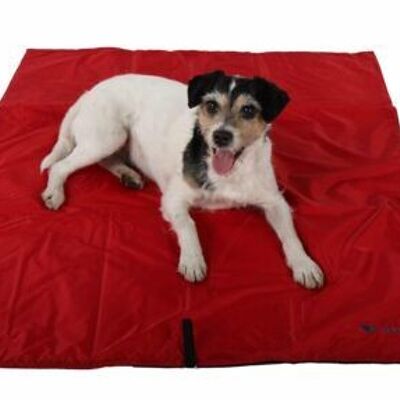 Animal Pad – the pet blanket for all purposes