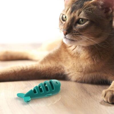 Treat Fish - Cat Toys