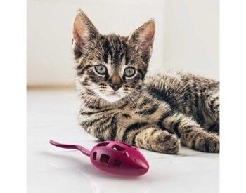 Traiter les souris - jouets pour chats 1