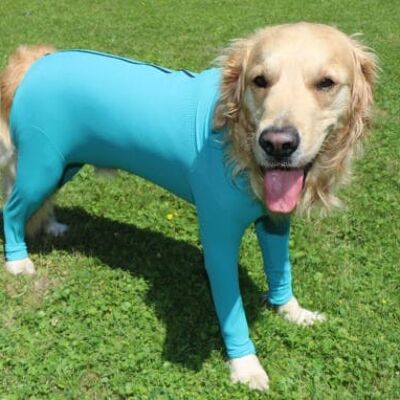 Dog bodysuit with legs and zipper (unisex)