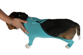 Body pour chien avec pattes et fermeture éclair (unisexe) 3