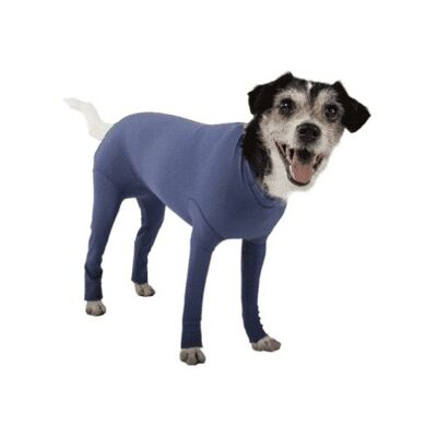 Dog bodysuit with legs