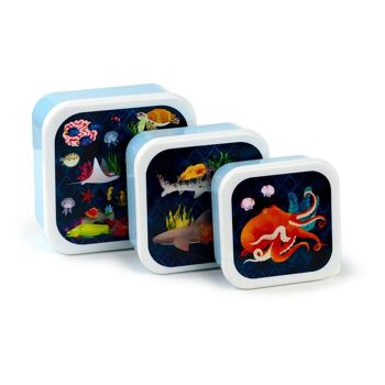 Lot de 3 Lunch Box M/L/XL Royaume Marine