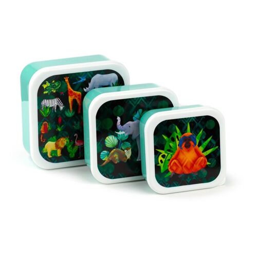 Set of 3 Lunch Box M/L/XL Animal Kingdom