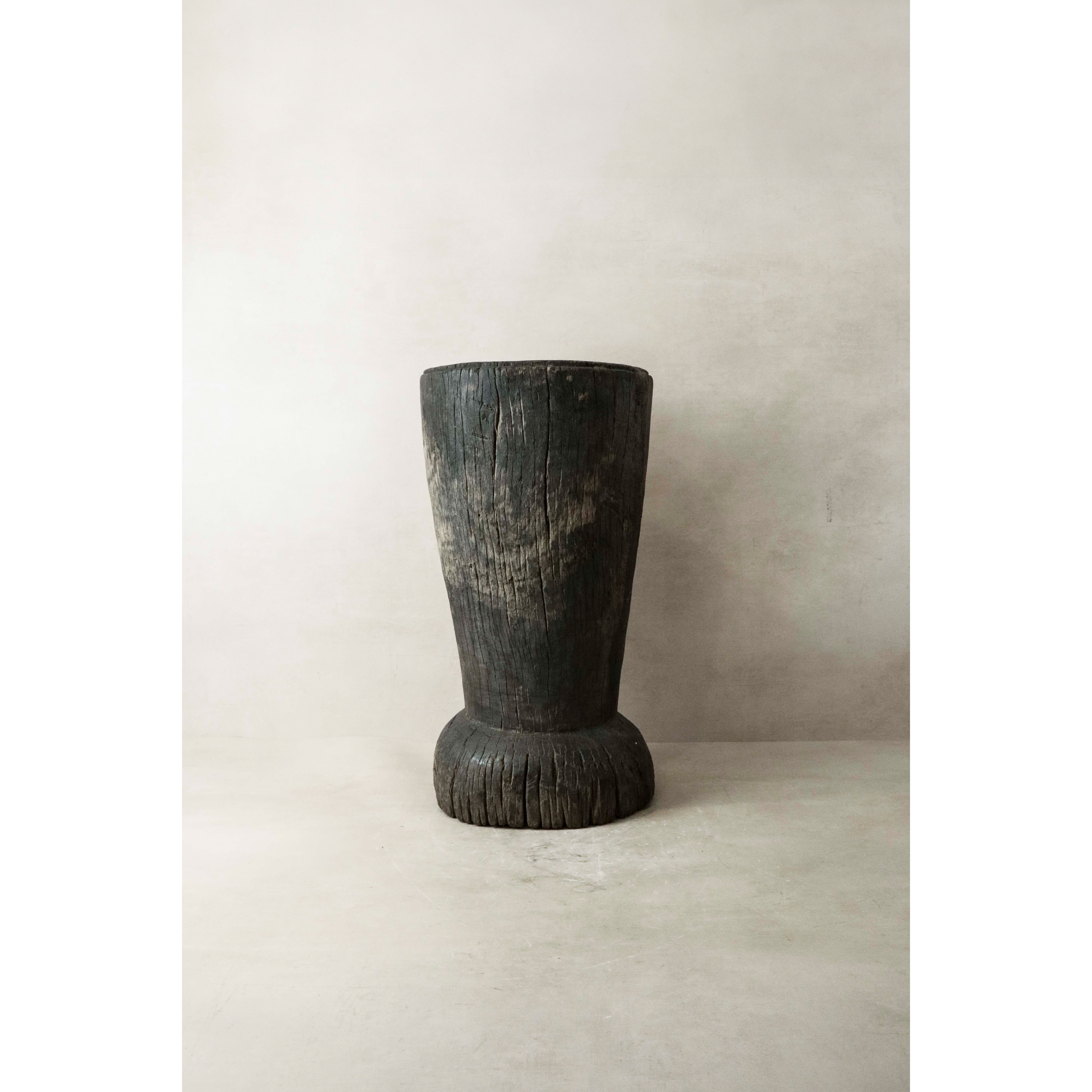 Pisoteador de granos africano - 155.4