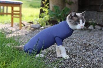 Body pour chat – la protection idéale contre les plaies 4