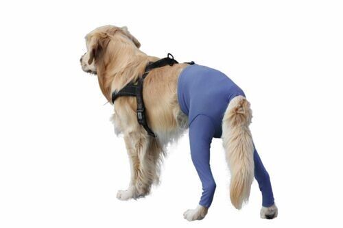 Safety Pants – die Schutzhose für Ihren Hund