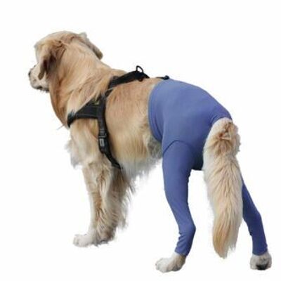 Pantalones de seguridad: los pantalones protectores para tu perro