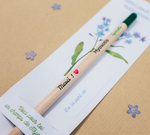 Crayon à planter "Merci !" avec graines de myosotis pour cadeau nounou, Maîtresse, ATSEM