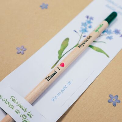 Pencil to plant “Thank you!" with forget-me-not seeds for nanny gift, Mistress, ATSEM