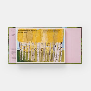 Une famille d'arbres : mon premier livre sur les forêts 5