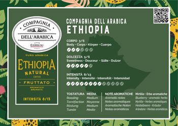 10 capsules de café 100% Arabica d'Ethiopie | Capsules en aluminium compatibles Nespresso® 2