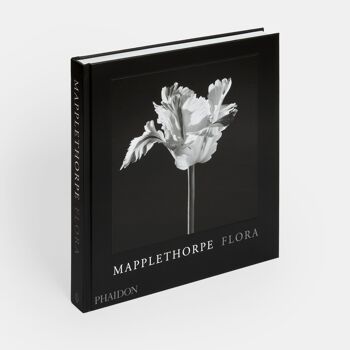 Flore de Mapplethorpe : les fleurs complètes 1