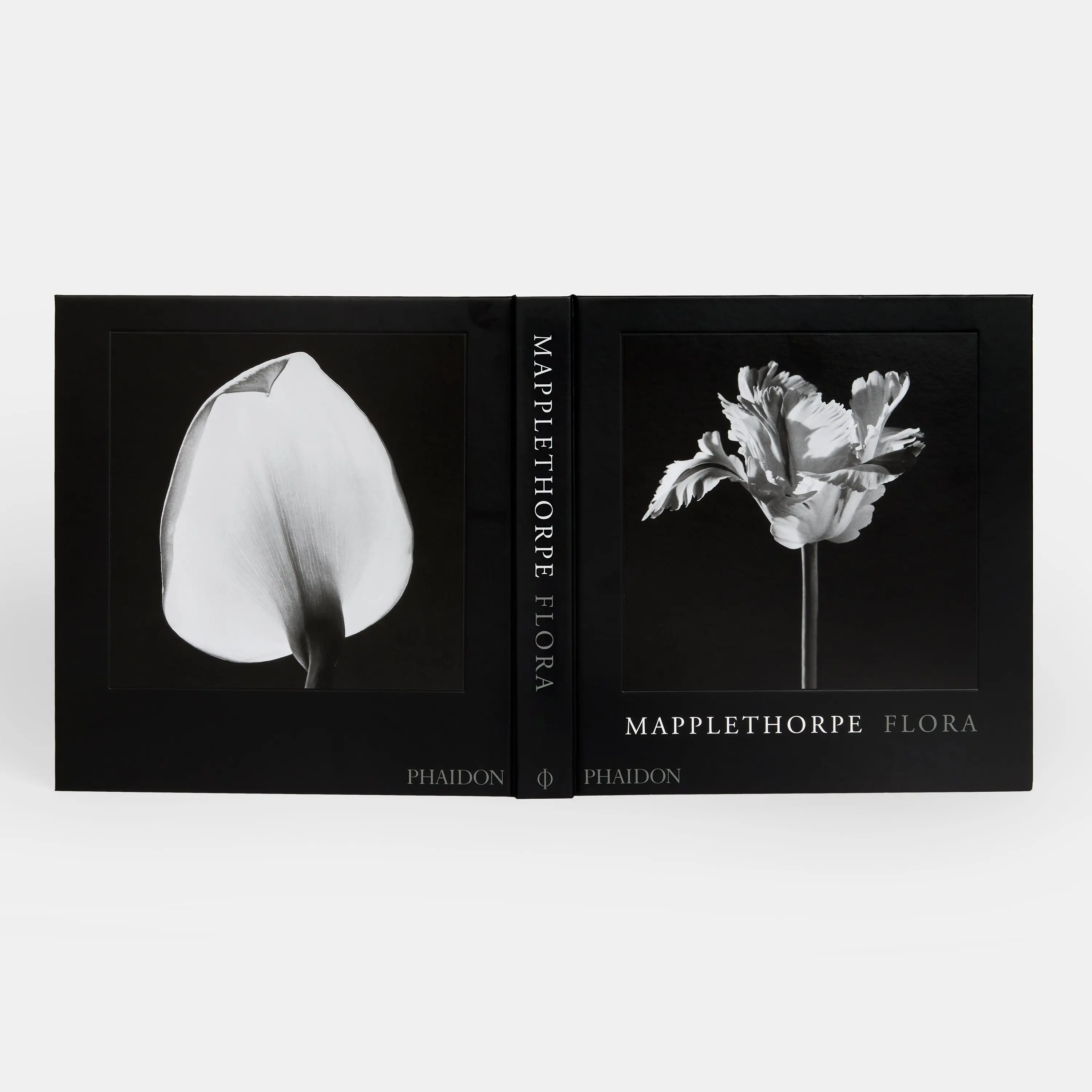 大値下【極品】Mapplethorpe The Complete Flowers 大値下【極品】Mapplethorpe The Complete Flowers 大値下【極品