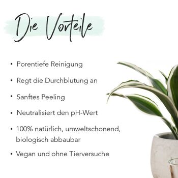 Éponge Konjac - Aloe Vera 3