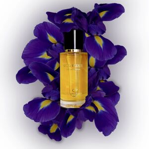 OUD ELIXIR - Collection Platinium Eau de parfum 50ml