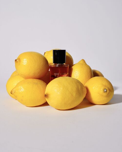 ROSE VANILLA  - Collection Platinium Eau de parfum 50ml