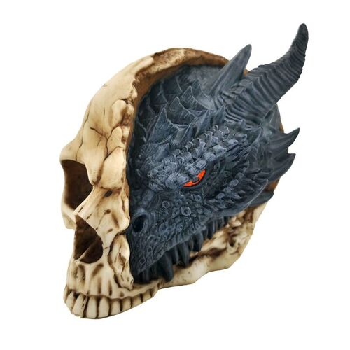 Shadows of Darkness Black Dragon in Skull Small